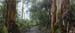 Rustic Australia