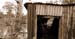 Rustic Shed
