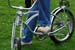 Schwinn